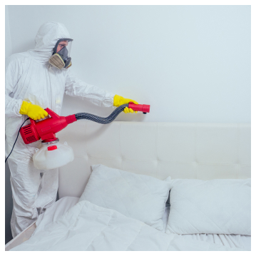 Bed Bug Treatment in Phoenix & Tucson