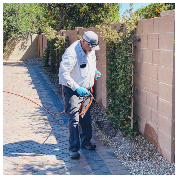 person spraying for pests along a wall
