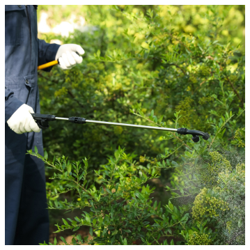 Pest Control - Phoenix & Tucson, AZ | Bucksworth Home Services